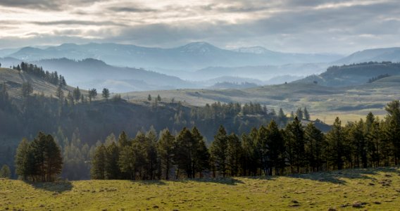 Lamar Valley Panorama