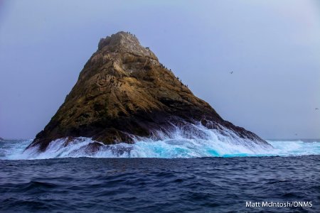 GFNMS - Farallon Islands photo