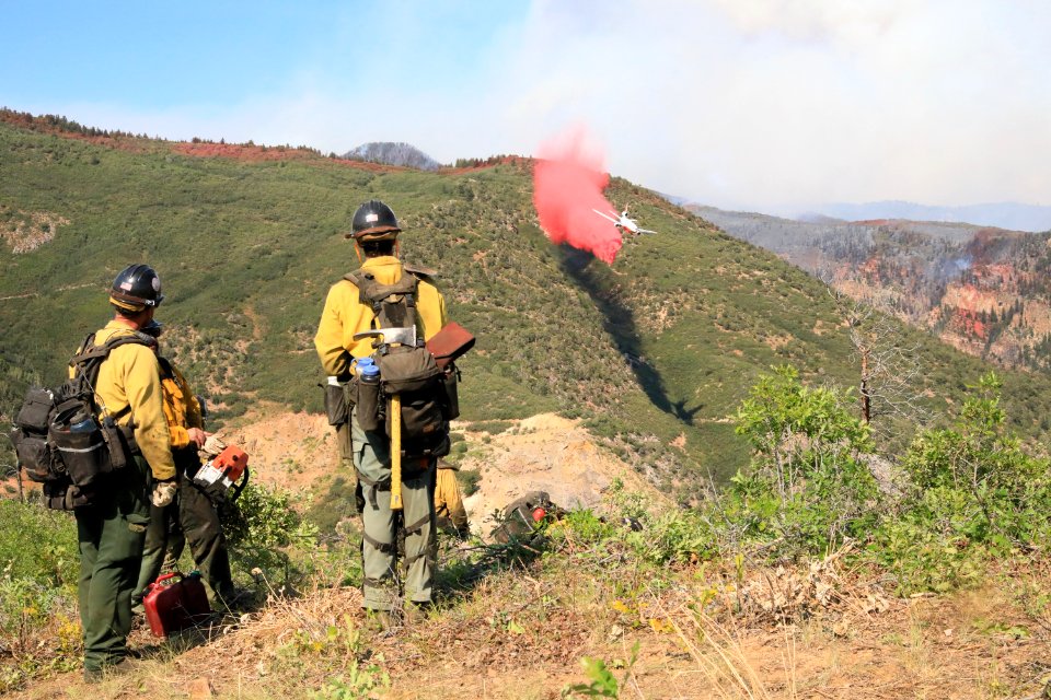 Operations August 13