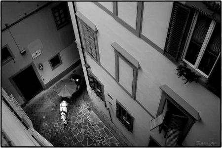 Horse & Carriage, Florence photo