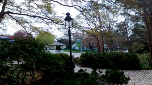 IMG 20150505 100752351