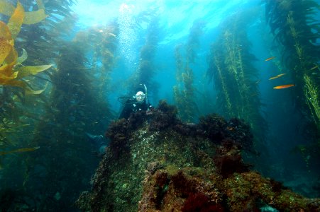 CINMS -- Winfield Scott Shipwreck
