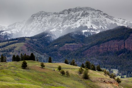 Spring snow, Lamar Valley photo