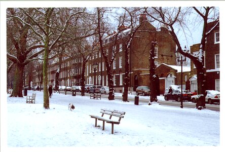 Winter cold season