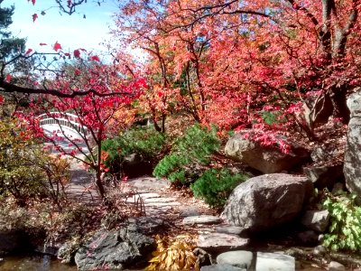 IMG 20151026 121624760 HDR