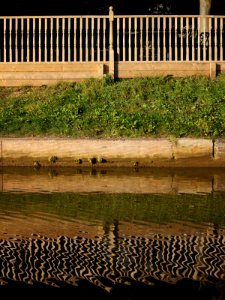 Reflected Fence photo