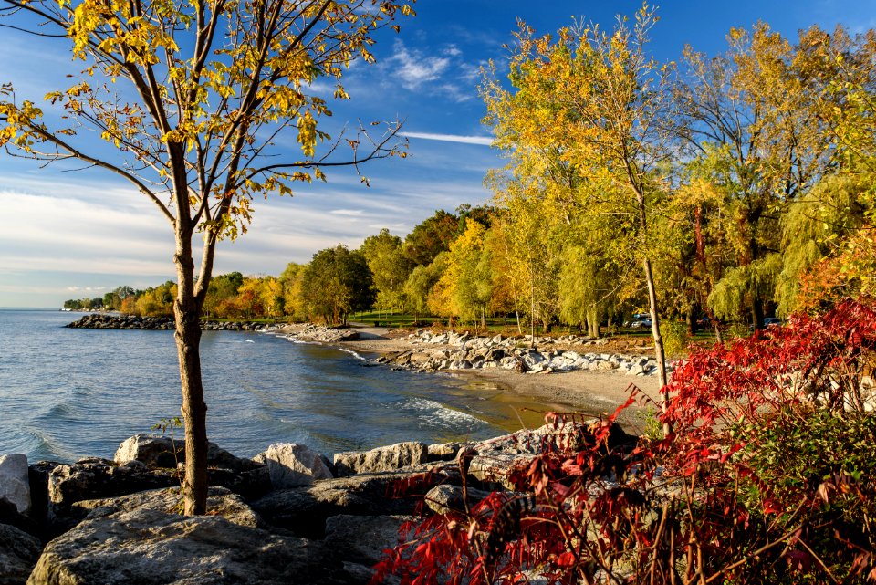 Autumn colours on the shore of Lake Ontario