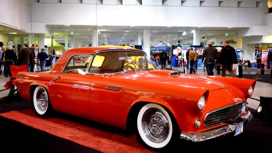 1955 Ford Thunderbird, "Scorchy" photo