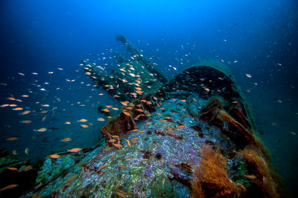 U352 Wreck at Monitor