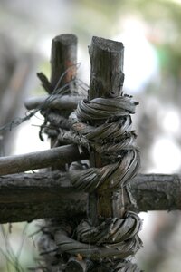 Nature cracked fence