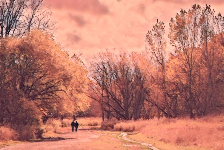 Walking the Culham Trail, Mississauga