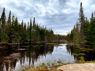 Beaver Pond, Northern Ontario. photo