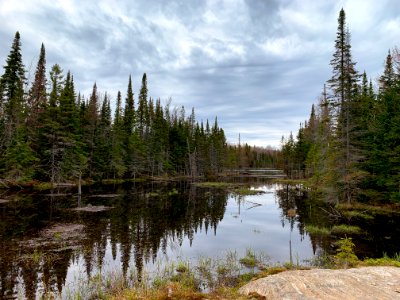 Beaver Pond, Northern Ontario.