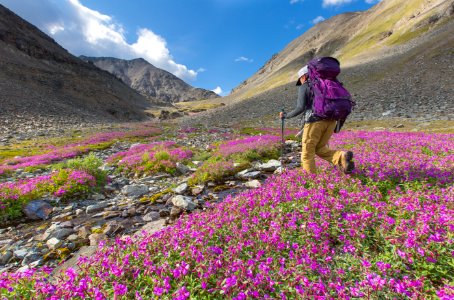 Exploring the alpine terrain around Bremner photo