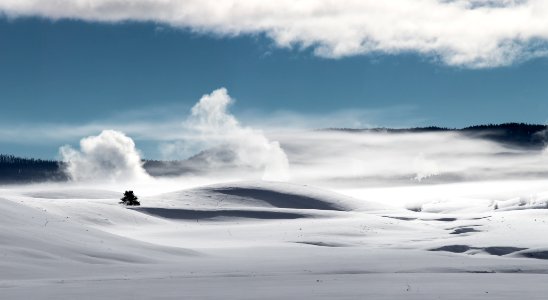 Winter, Hayden Valley photo