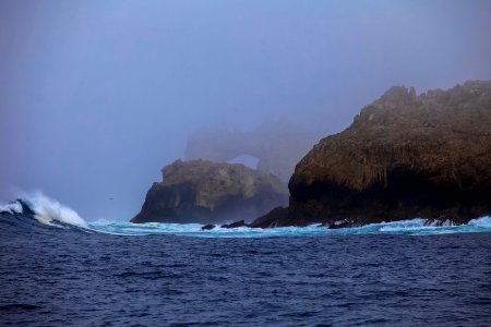 GFNMS - Farallon Islands photo