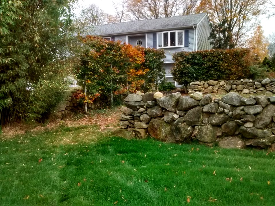 IMG 20151106 095245561 HDR