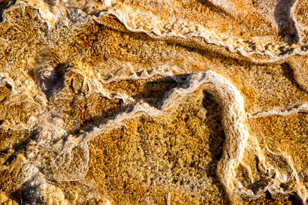 Travertine terraces at Mammoth Hot Springs photo