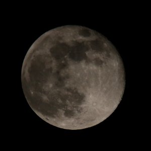 Full'ish Moon photo