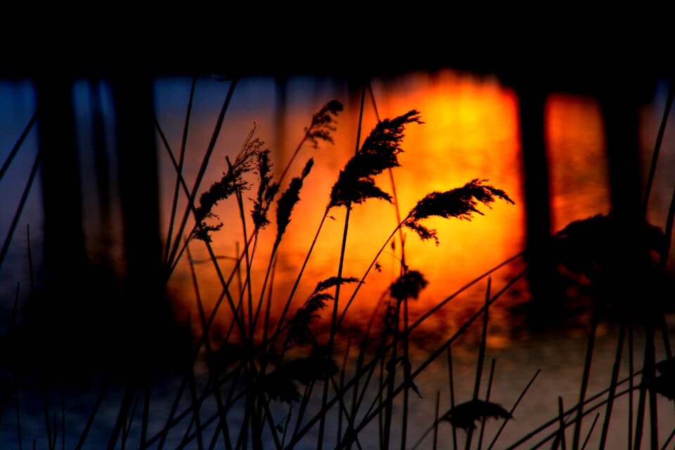 Reflection orange bridge