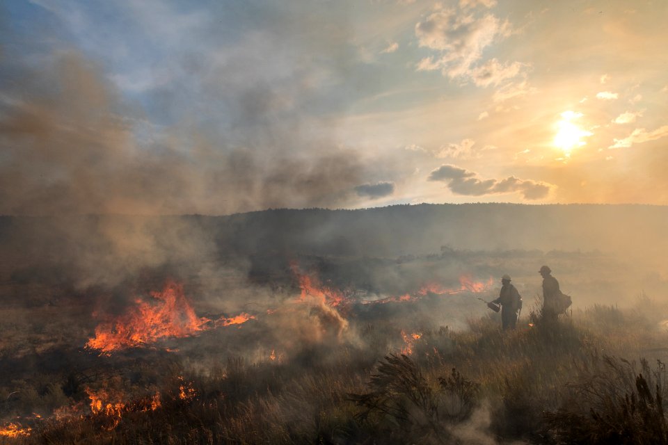 Blacklining the Trout Springs Rx Fire