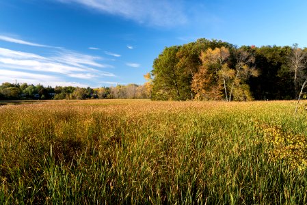 Rattray Marsh, Mississauga