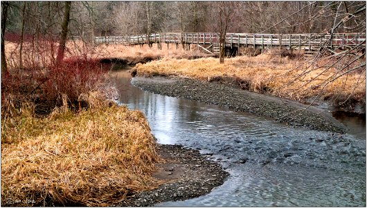 Sheridan Creek, Mississauga