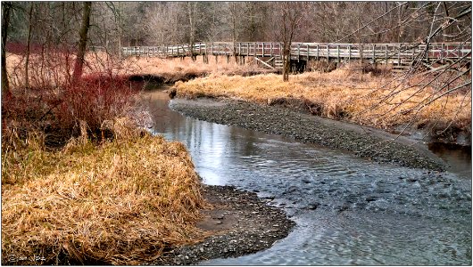 Sheridan Creek, Mississauga photo