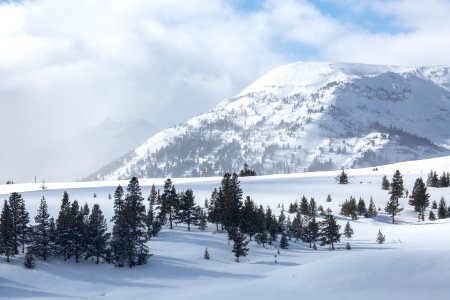 Quadrant Mountain (9,944 ft) and, in the distance, Bannock Peak (10,323 ft)