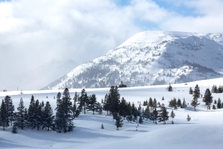 Quadrant Mountain (9,944 ft) and, in the distance, Bannock Peak (10,323 ft) photo