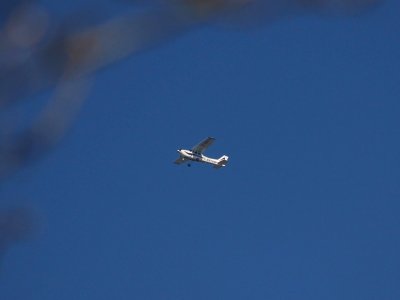 Plain Blue Sky
