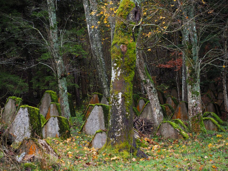 Abandoned cemetery france