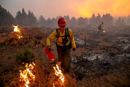 Trout Springs Rx Fire photo