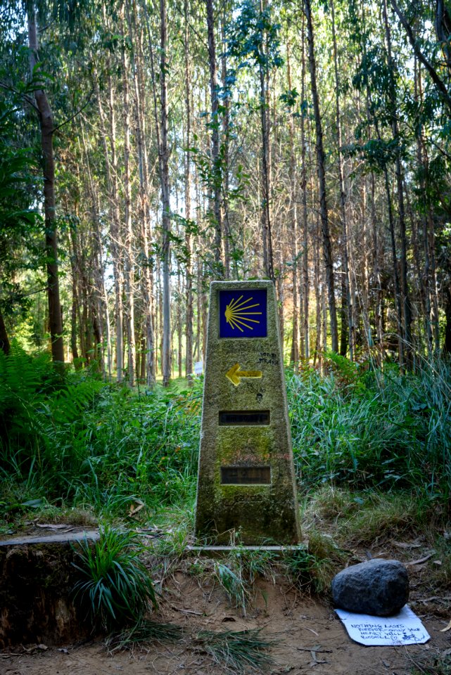 Camino de Santiago Waypoint
