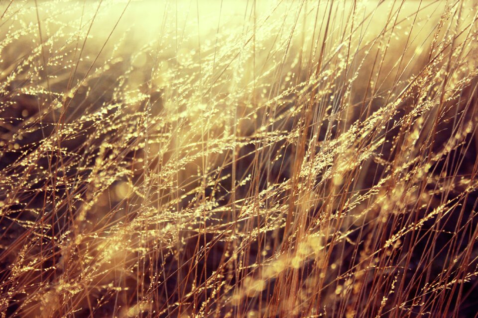 Peace motion texture