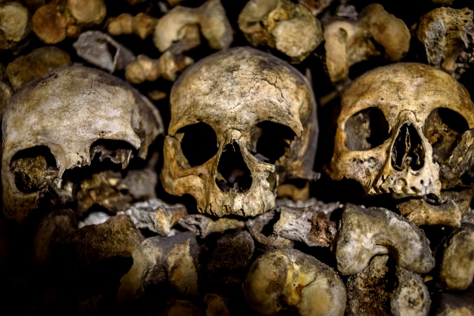 Residents of the catacombs of Paris
