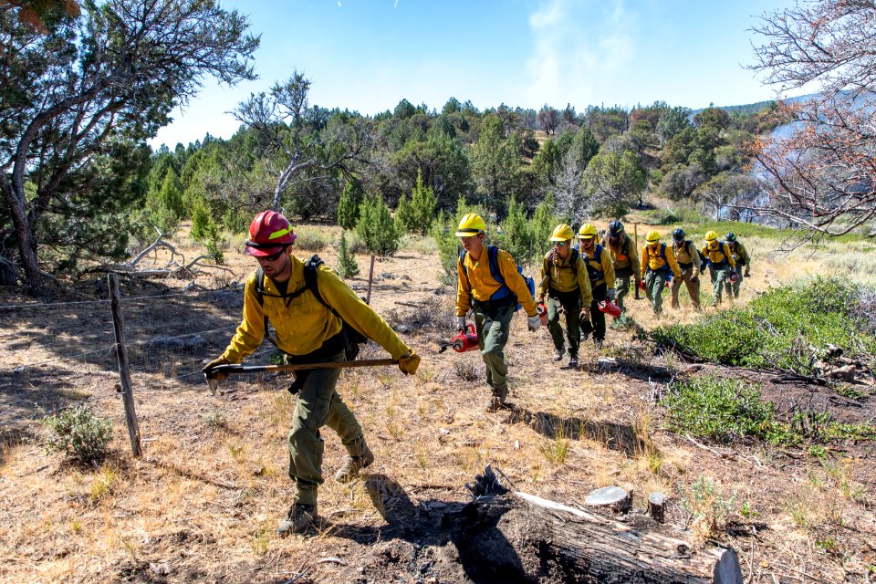 Trout Springs Rx Fire