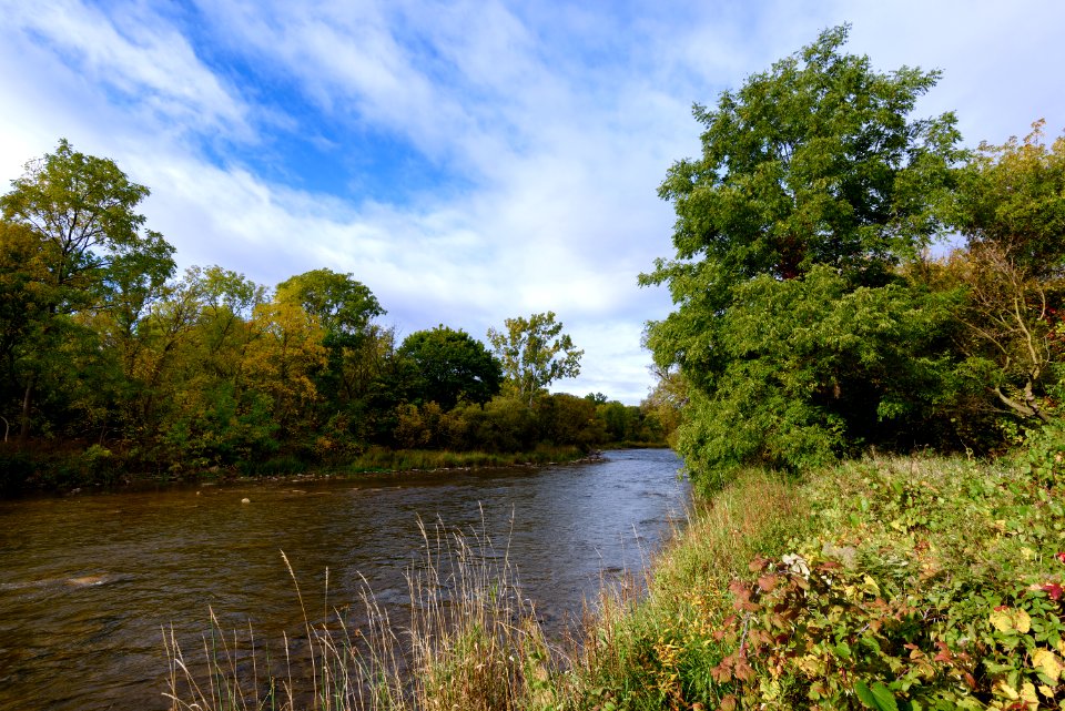 The Credit River, Streetsville
