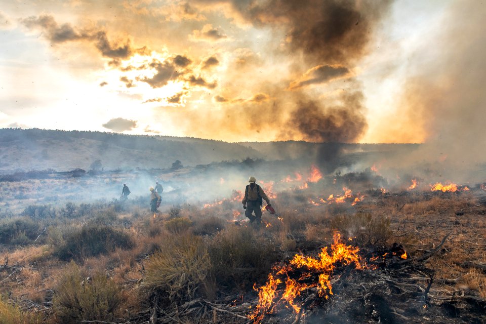 Blacklining the Trout Springs Rx Fire