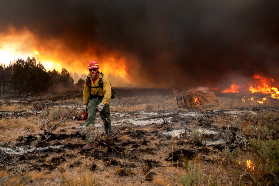 Trout Springs Rx Fire