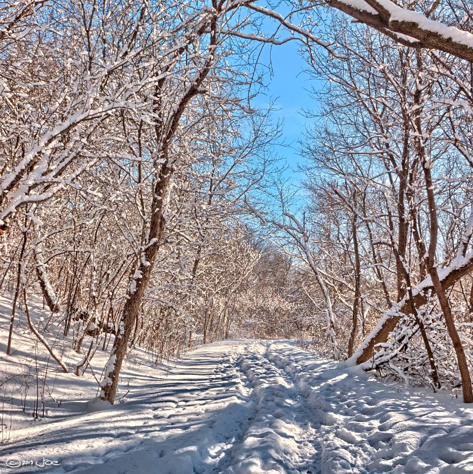 Credit River, Mississauga
