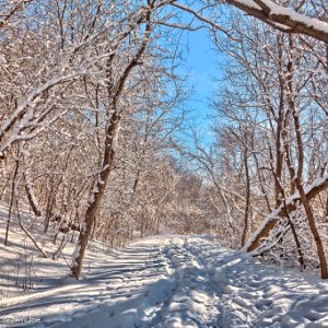 Credit River, Mississauga photo