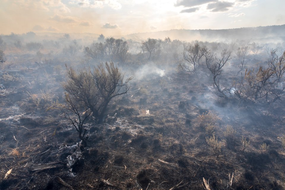 Blacklining the Trout Springs Rx Fire