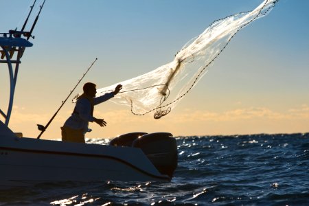 Fishing net photo