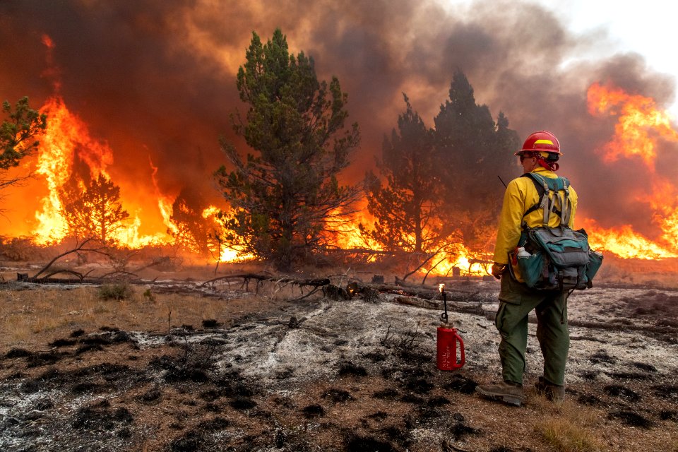 Trout Springs Rx Fire