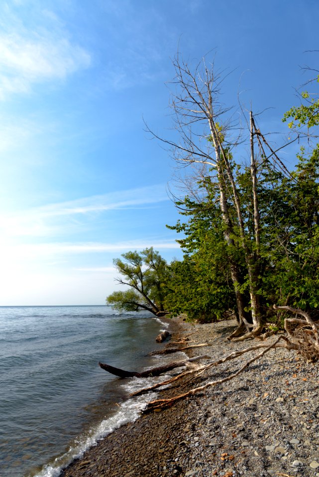 Lake Ontario Shoreline