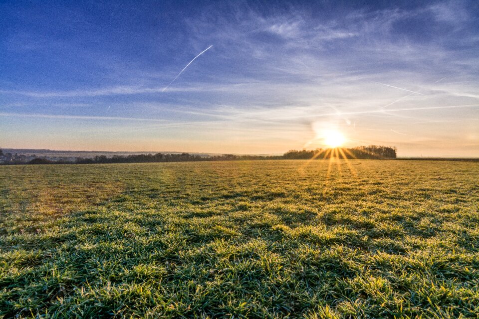 Agriculture frost winter