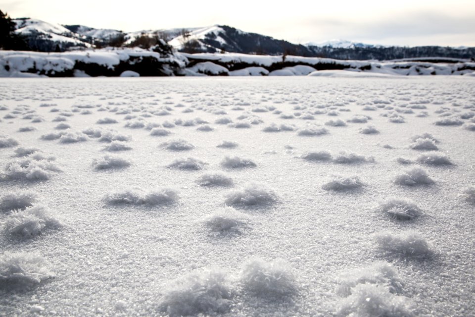 Hoar frost on Slough Creek