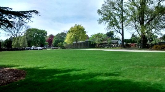IMG 20150512 145409425 HDR