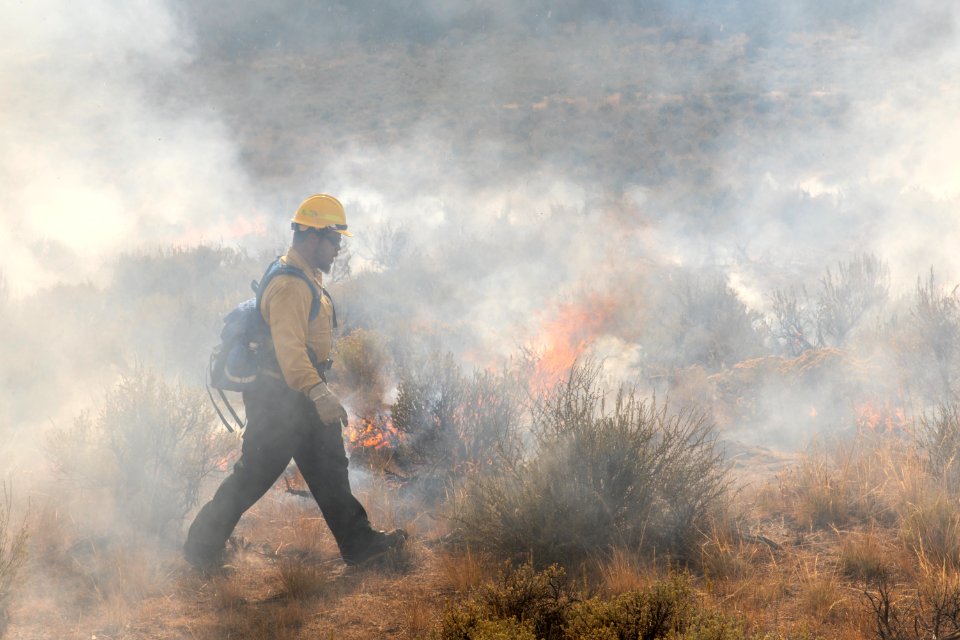 Blacklining the Trout Springs Rx Fire